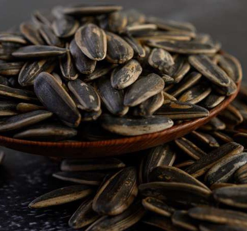 Sunflower Seeds - IŞIKAY Gıda İnşaat San. ve Tic. Ltd. Sti.