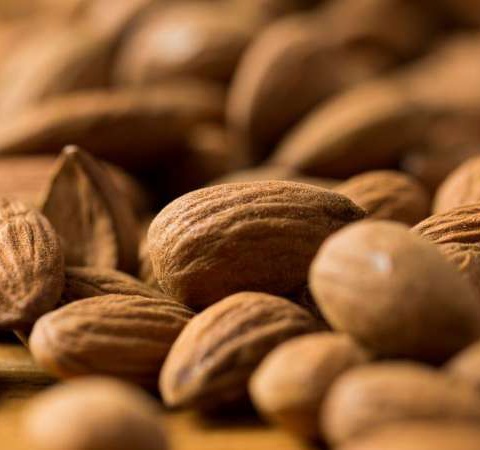 Internal Almond - IŞIKAY Gıda İnşaat San. ve Tic. Ltd. Sti.